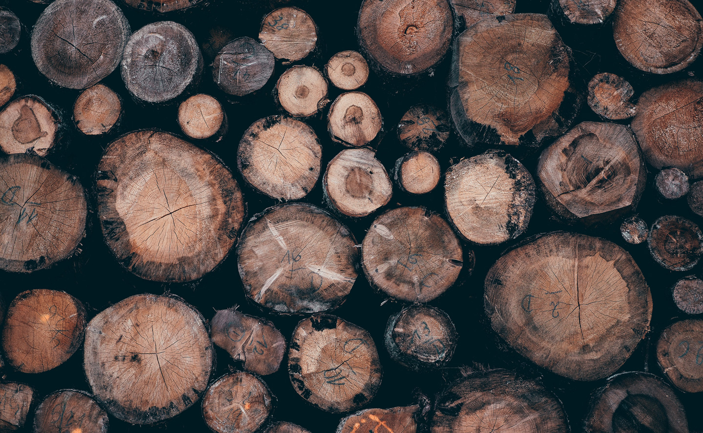 Coming Soon [thetimberguy.co.za]
